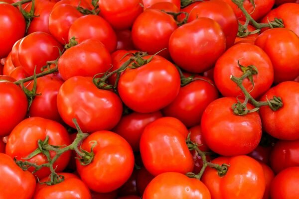 Tomate